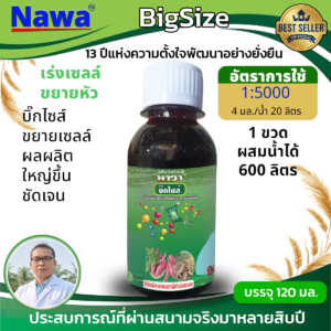 004.บิ๊กไซส์โปรตีนเปปไทด์สำหรับพืช สำหรับพืชหัวเท่านั้น ☆☆☆☆☆