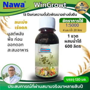 002.วินโกรท โปรตีน เปปไทด์สำหรับพืช เร่งดอก ออกผลดก ☆☆☆☆☆