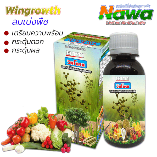 002.วินโกรท โปรตีน เปปไทด์สำหรับพืช เร่งดอก ออกผลดก ☆☆☆☆☆