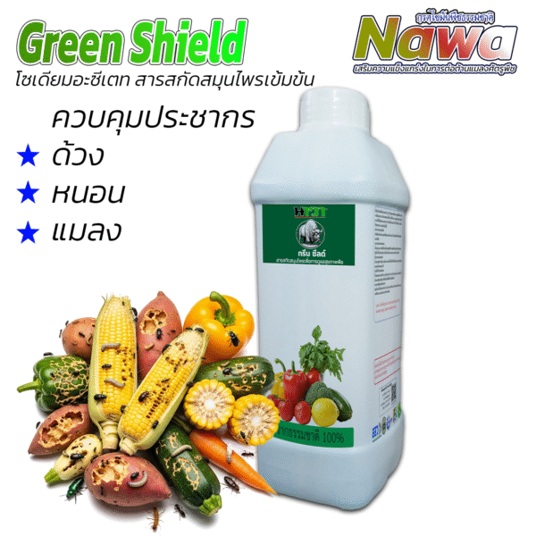 006.กรีนซีลด์ (Green Shield) สารสกัดสมุนไพรเข้มข้น 100% | ควบคุม ด้วง หนอน ปลอดภัย • ได้ผล • ย่อยสลายง่าย ☆☆☆☆☆