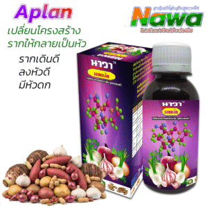003.เอแพล้น โปรตีน เปปไทด์สำหรับพืช  สำหรับพืชหัวเท่านั้น ☆☆☆☆☆