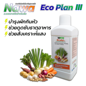 อีโคแพล้น III สารสกัดอินทรีย์เพื่อส่งเสริมสุขภาพพืช