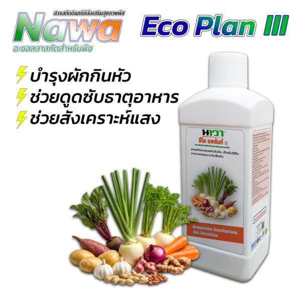 อีโคแพล้น III สารสกัดอินทรีย์เพื่อส่งเสริมสุขภาพพืช