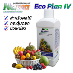 อีโคแพล้น IV สารสกัดอินทรีย์เพื่อส่งเสริมสุขภาพพืช NAWA