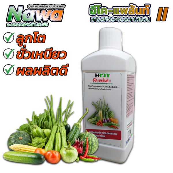 อีโคแพล้น II – สารสกัดอินทรีย์เพื่อส่งเสริมสุขภาพพืชอย่างยั่งยืน