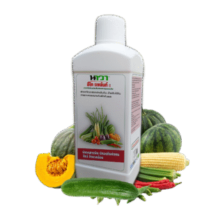 อีโคแพล้น II – สารสกัดอินทรีย์เพื่อส่งเสริมสุขภาพพืชอย่างยั่งยืน