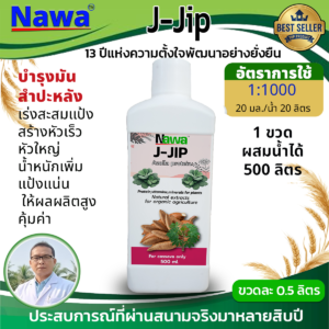 11.นาวา อะซอลลาสกัดเข้มข้น สูตรสำหรับมันสำปะหลัง - เพิ่มผลผลิต เพิ่มคุณภาพ เพิ่มแป้งธรรมชาติ