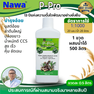 13.นาวา อะซอลลาสกัดเข้มข้น สูตรสำหรับอ้อย - เปลี่ยนอ้อยธรรมดาให้กลายเป็นอ้อยพรีเมียม