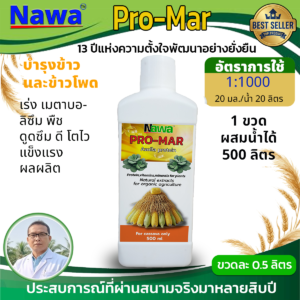 09.นาวา อะซอลลาสกัดเข้มข้น - สูตรพิเศษสำหรับข้าวและข้าวโพด