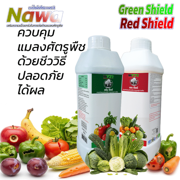 ชุดควบคุมแมลงศัตรูพืช กรีนซีลด์ (Green Shield) และ เรดซีลด์ (Red Shield) — นวัตกรรมสารสกัดสมุนไพรเข้มข้นสำหรับเกษตรกรที่รักสุขภาพพืชและสิ่งแวดล้อม!