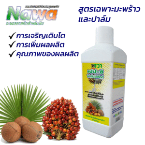 นาวา อะซอลลาสกัดเข้มข้น สูตรพิเศษสำหรับปาล์มน้ำมันและมะพร้าว