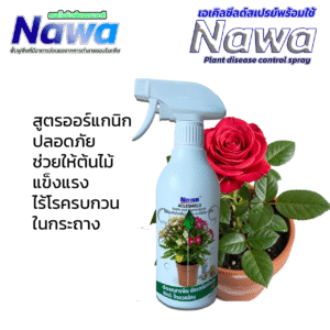 ACLESHIELD สเปรย์ป้องกันโรคพืชธรรมชาติ | น้ำส้มสายชูข้าวหอมมะลิ + น้ำมันตะไคร้ | ปลอดภัย 100%
