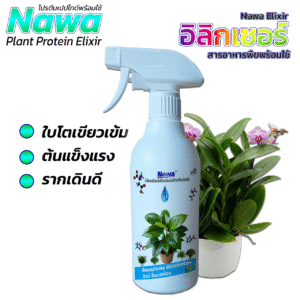 ✨สเปรย์บำรุงต้น ใบ Nawa Elixir (อิลิกเซอร์) สารอาหารพืชพร้อมใช้ สูตรเข้มข้น โปรตีนเปปไทด์ วิตามิน เกลือแร่ บำรุงครบจบในขวดเดียว 🌱