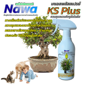 Nawa KS+ SULFUR SPRAY สเปรย์กำมะถันโพแทสเซียม พร้อมใช้ | อาวุธธรรมชาติจัดการแมลง ปลอดภัยเด็กและสัตว์เลี้ยง