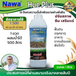 23.Nawa ฮิวมิก Hue Mix – ฟื้นดินตาย ให้กลับมามีชีวิตอีกครั้ง
